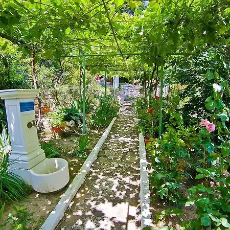 Ferienhaus Sequoia