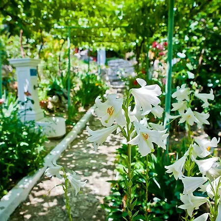 Sequoia Case de vacanță Nisipurile de Aur