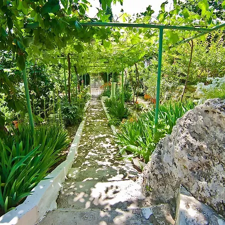 Sequoia * Nisipurile de Aur