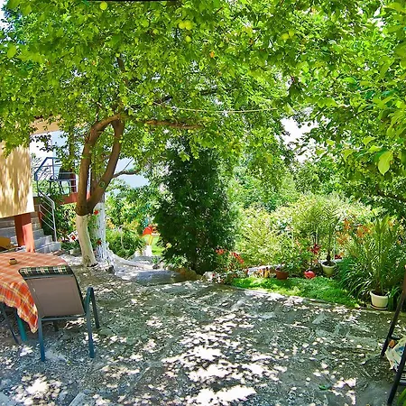 Case de vacanță Sequoia