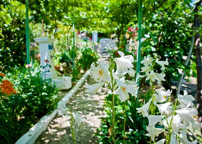 Sequoia Holiday home Golden Sands