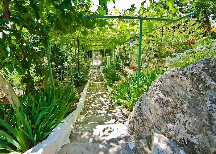 Sequoia * Golden Sands